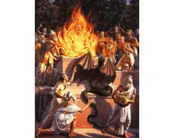 The Snake-Bird Taksaka Bites King Pariksit The Snake-Bird Taksaka Bites King Pariksit