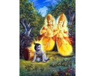 The Deliverance of the Yamala-Arjuna Trees The Deliverance of the Yamala-Arjuna Trees