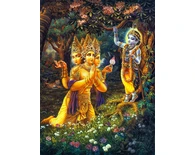 Brahma Offers Obeisances to Lord Krishna Brahma Offers Obeisances to Lord Krishna