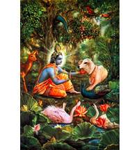 Krishna Speaks With the Creatures of Vrindavan