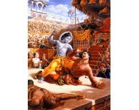 Lord Krishna Kills the Tyrant Kamsa Lord Krishna Kills the Tyrant Kamsa