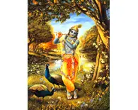 Krishna, the All-Attractive Flute-Player Krishna, the All-Attractive Flute-Player