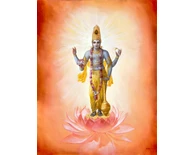 The Supersoul The Supersoul