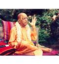 Srila Prabhupada in Detroit, Lecturing in Garden