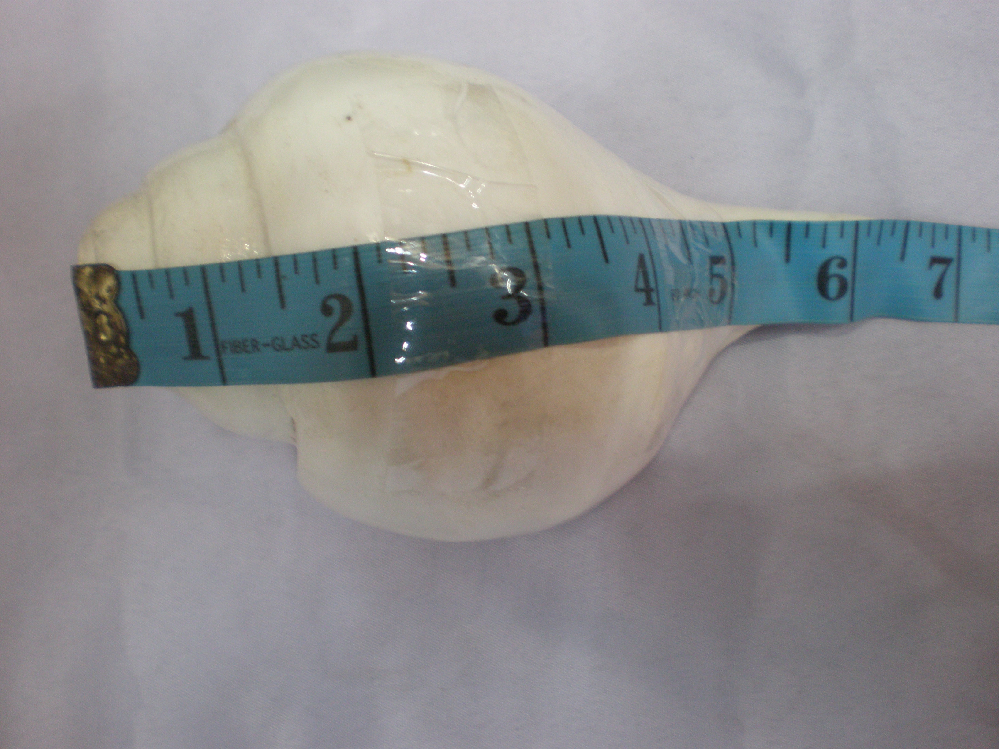 measureing a blowing conch 2